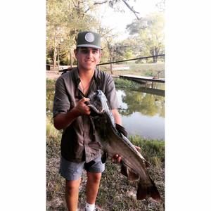 Meet your Posher, Mitchell